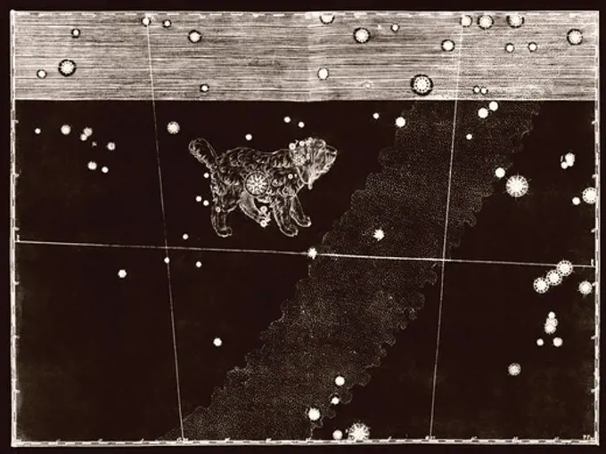 Constellation of Canis Minor
