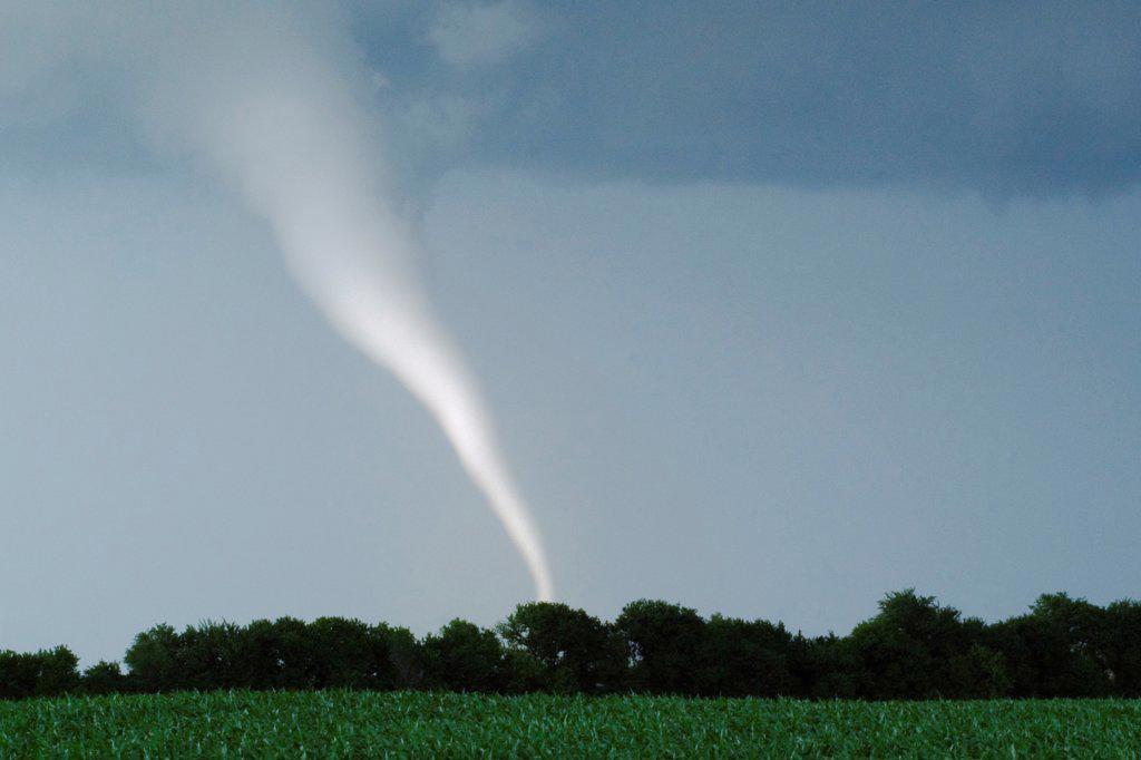 Milky White Tornado Spins Across Farmland