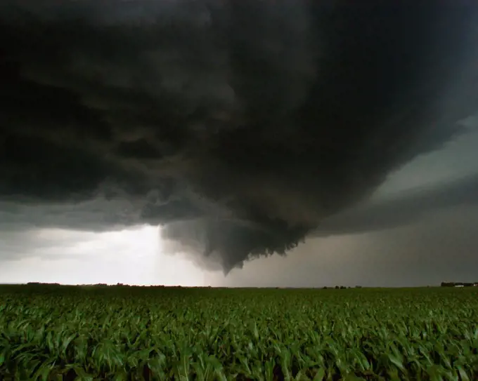 A Late Afternoon Tornado Develops Over Farmland