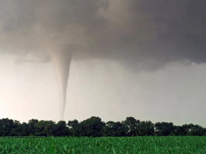 Milky White Tornado Spins Across Farmland at Sunset
