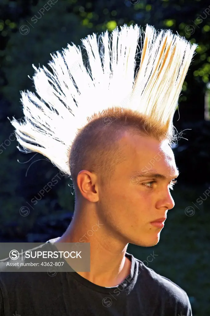 A 14-year-old teenage boy with bleached hair and a spiked mohawk haircut. -  SuperStock