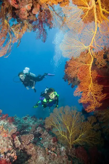 Man and Woman Scuba Diving