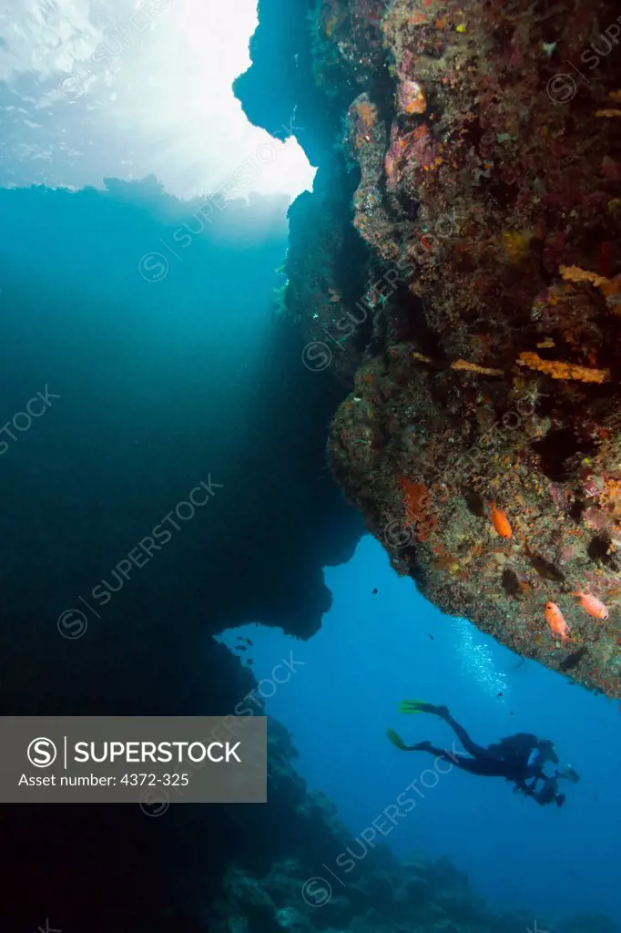 Scuba Diver Explores Astove Island
