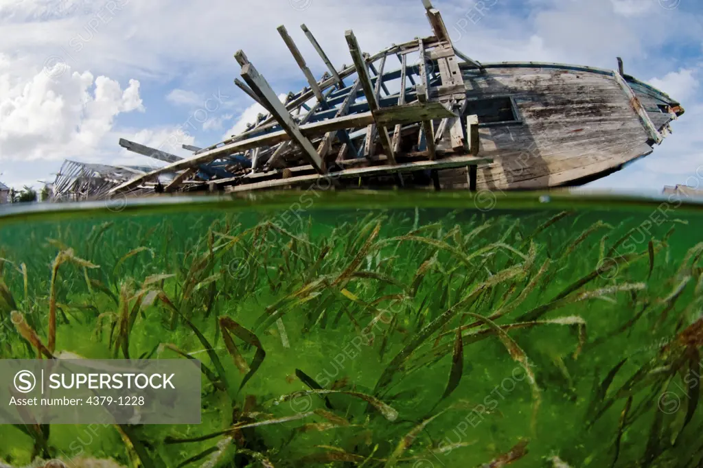 Wrecked Ship in Seagrass Bed