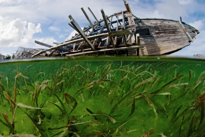 Wrecked Ship in Seagrass Bed