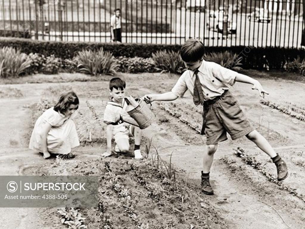Stock Photo: 4388-505 Watering the Victory Garden