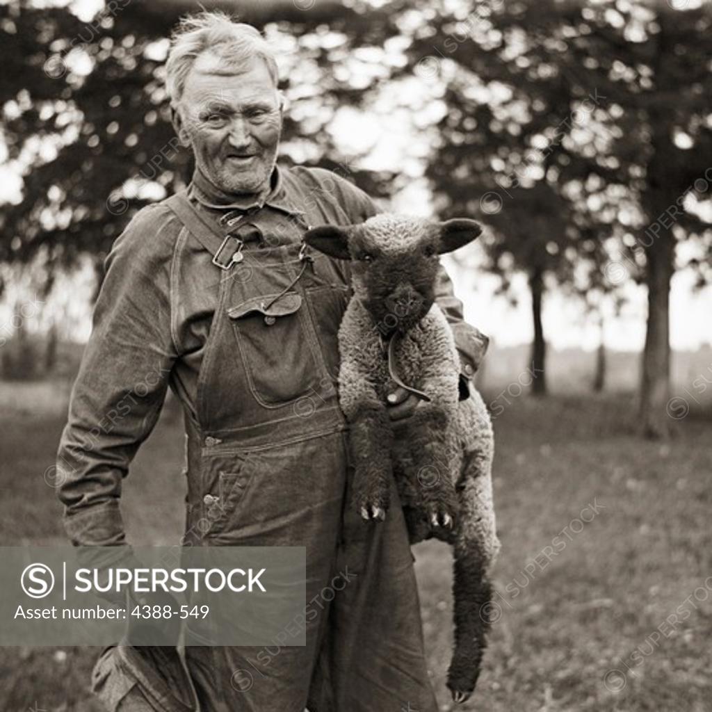 Stock Photo: 4388-549 Farmer and Lamb