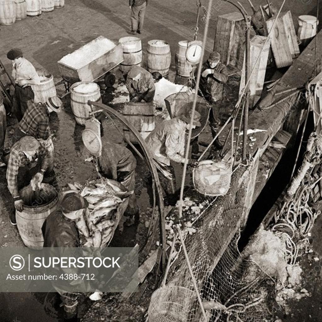 Stock Photo: 4388-712 Unloading Fish at Fulton Fish Market