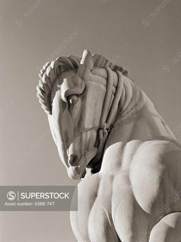 Stock Photo: 4388-747 Horse Statue