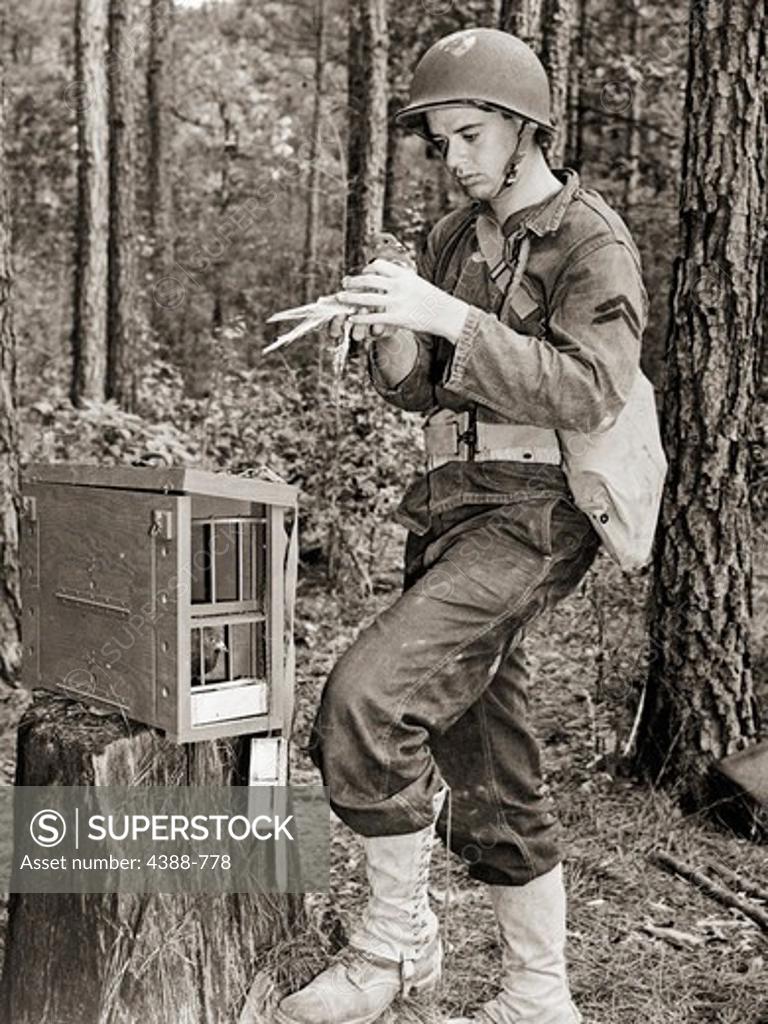 Stock Photo: 4388-778 Soldier with Pigeon