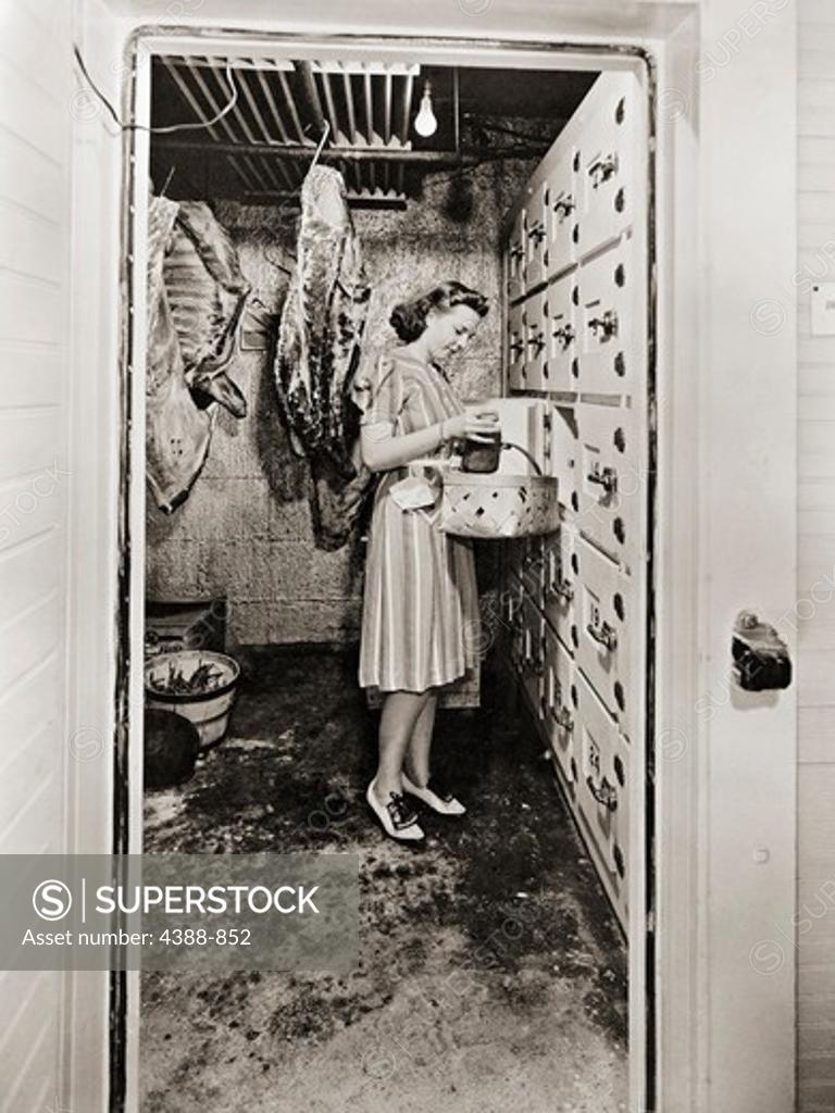 Stock Photo: 4388-852 Woman Working in Cold Storage Room