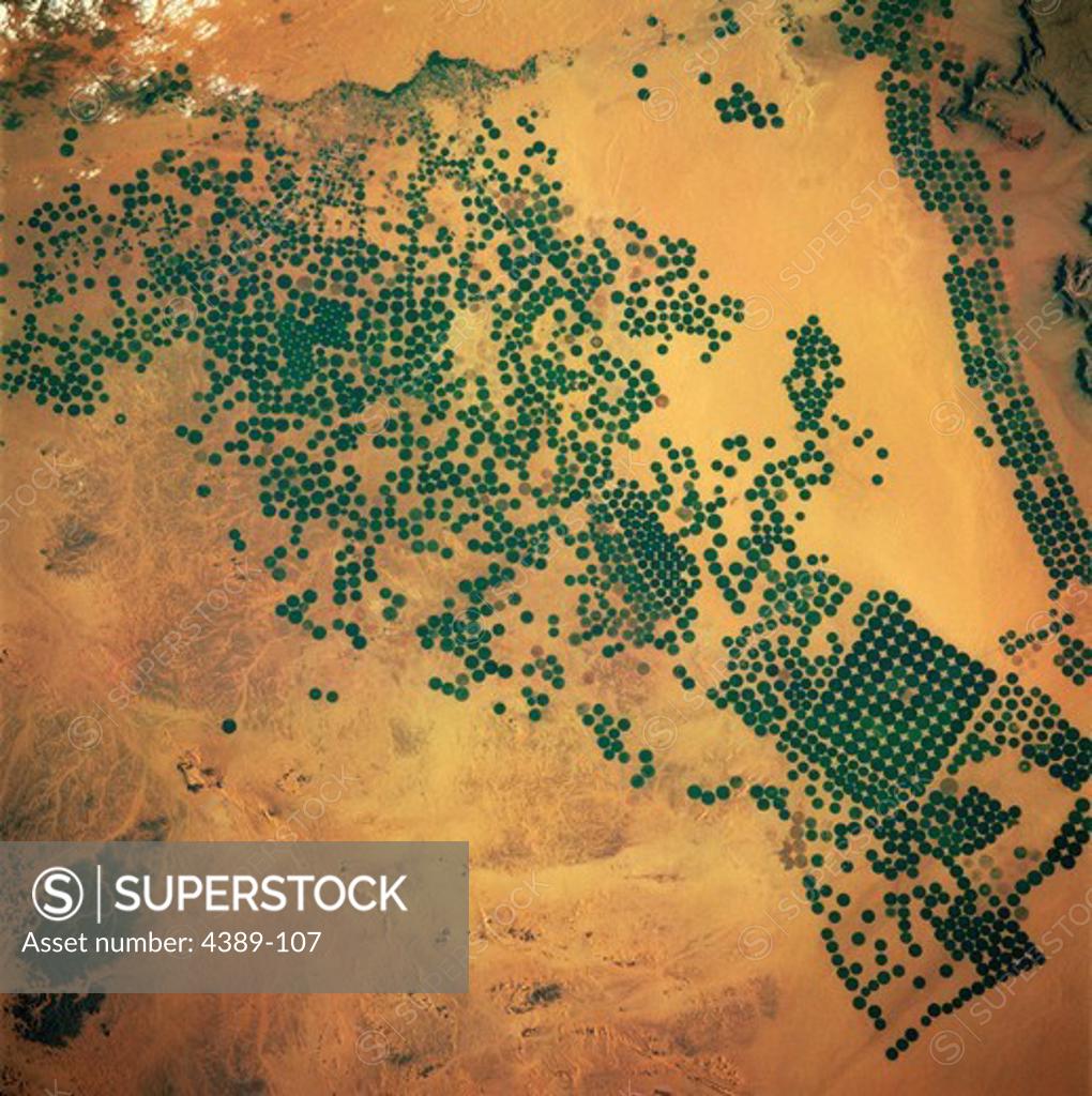 Stock Photo: 4389-107 Irrigated Fields in the Saudi Desert as Seen From Shuttle Discovery