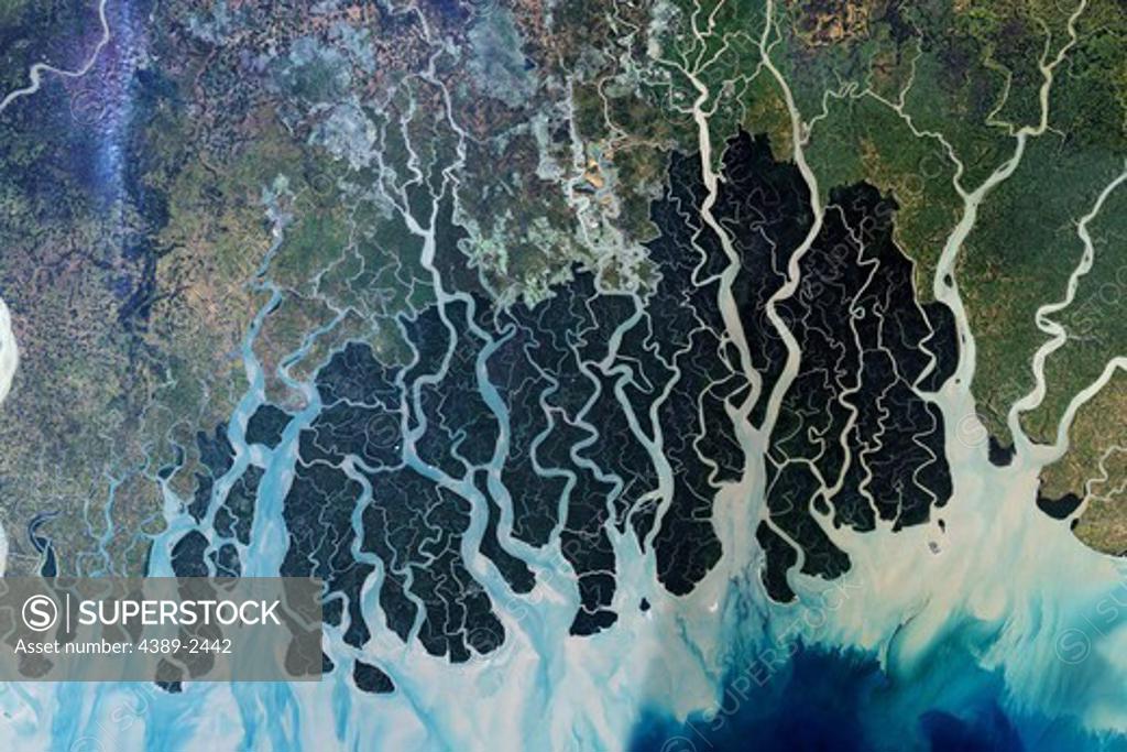 Stock Photo: 4389-2442 The Sundarbans