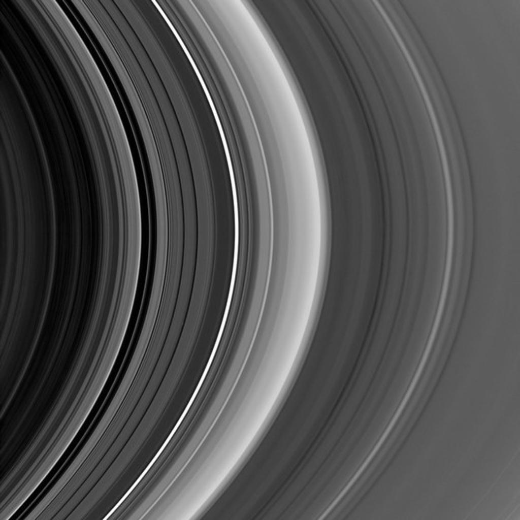 New Rings in the Cassini Division