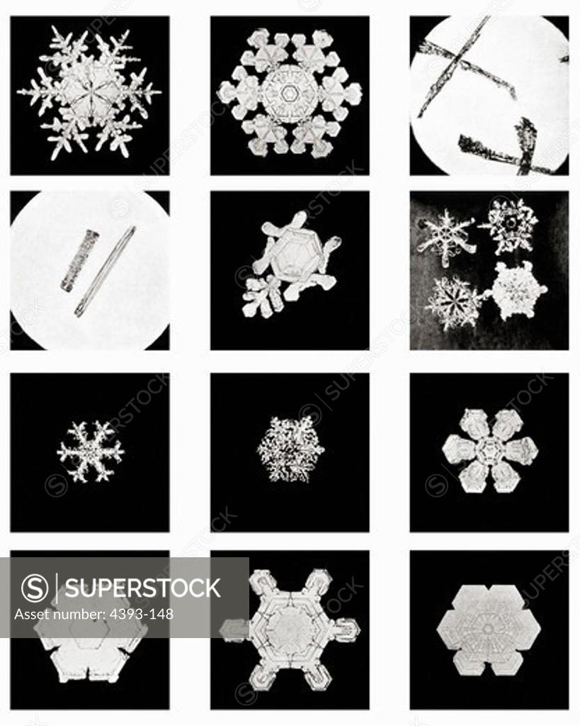 Stock Photo: 4393-148 Plate IV of Studies Among Snow Crystals
