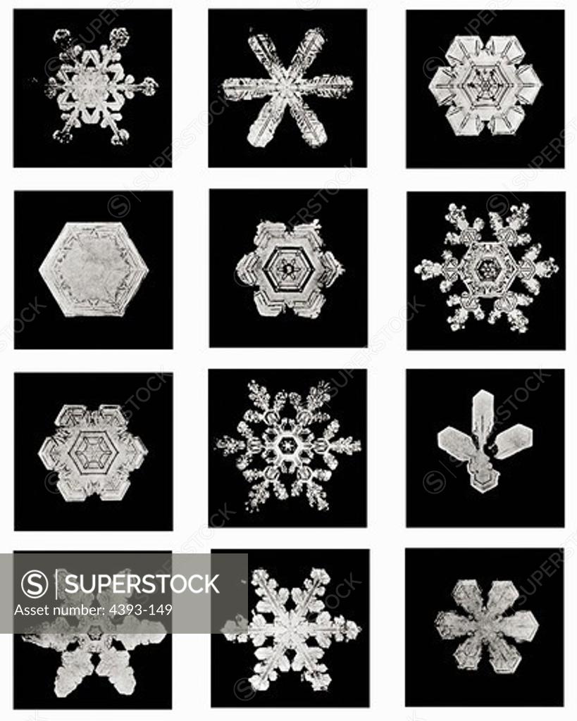 Stock Photo: 4393-149 Plate V of Studies Among Snow Crystals