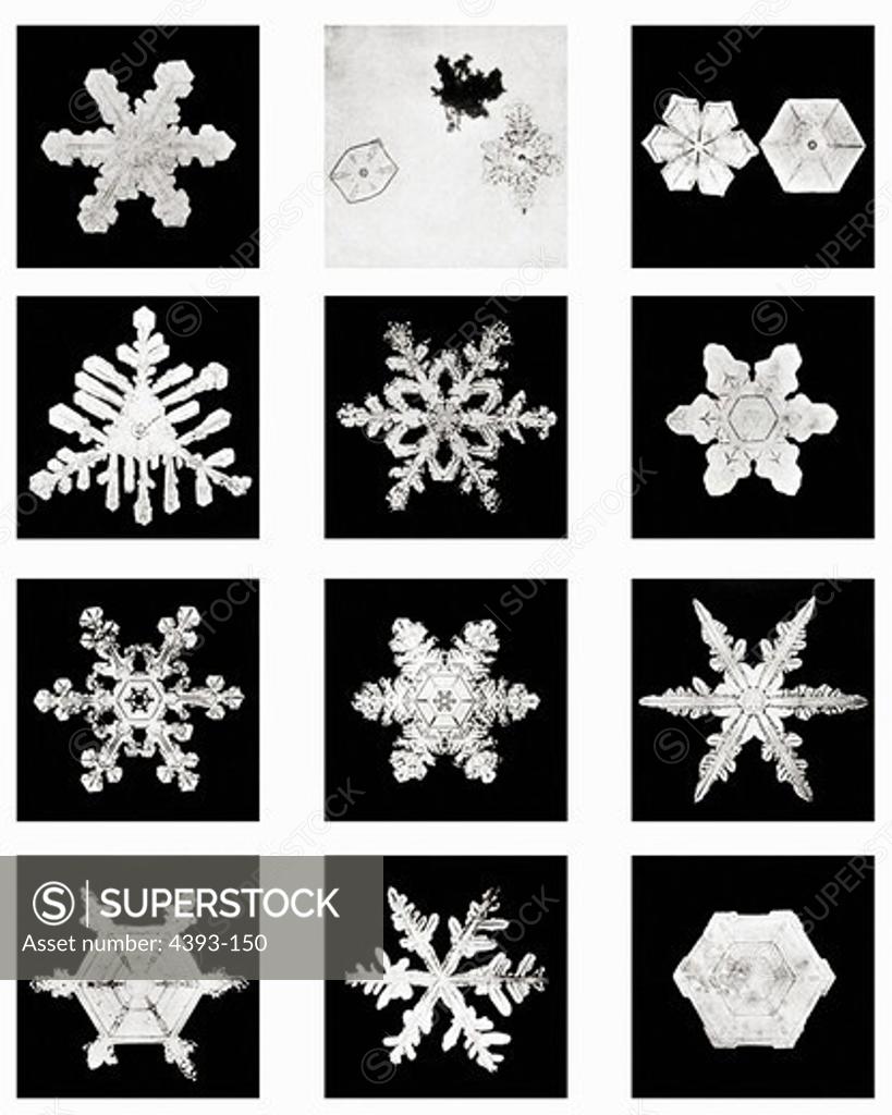 Stock Photo: 4393-150 Plate VI of Studies Among Snow Crystals