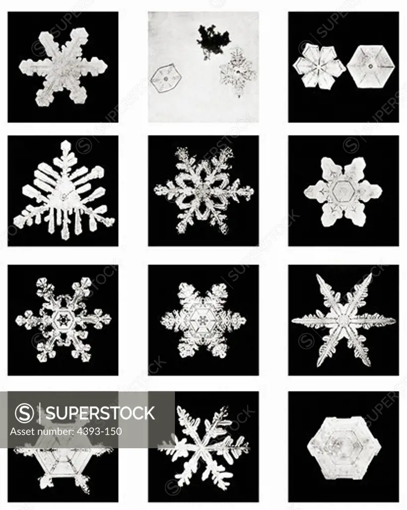 Plate VI of Studies Among Snow Crystals