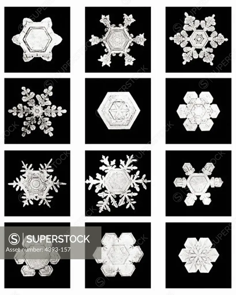 Plate XIII of Studies Among Snow Crystals