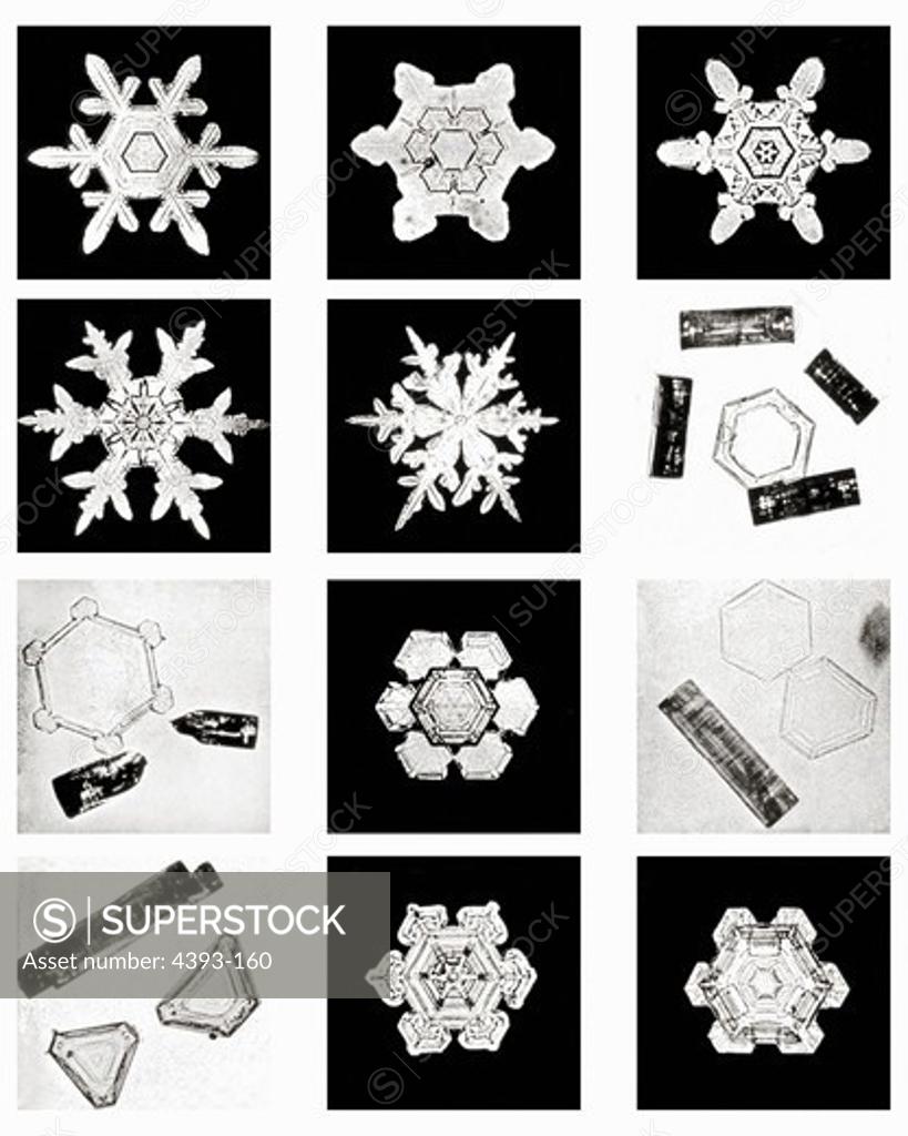 Stock Photo: 4393-160 Plate XVI of Studies Among Snow Crystals