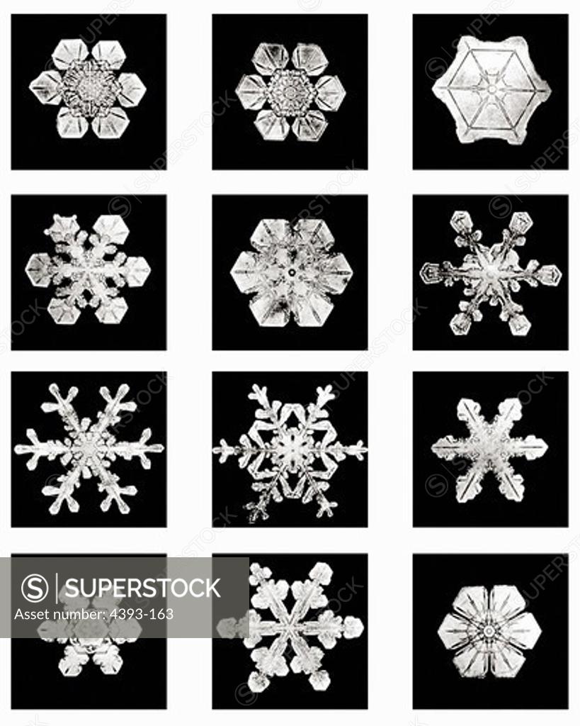 Stock Photo: 4393-163 Plate XIX of Studies Among Snow Crystals