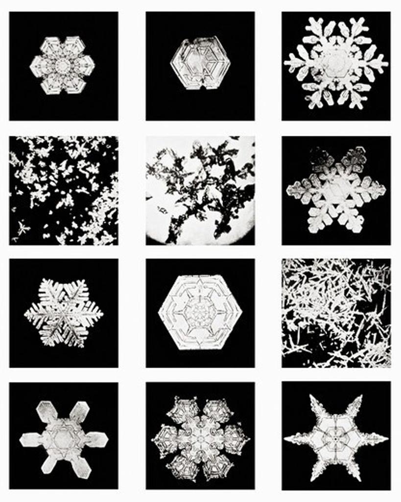 Plate I of Studies Among Snow Crystals