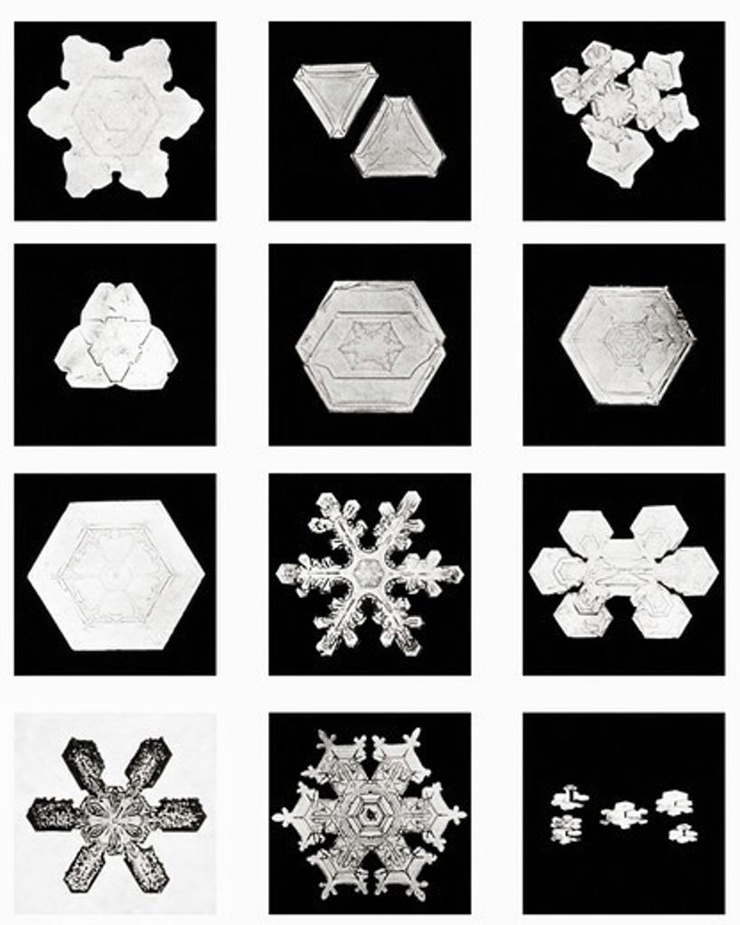 Plate II of Studies Among Snow Crystals