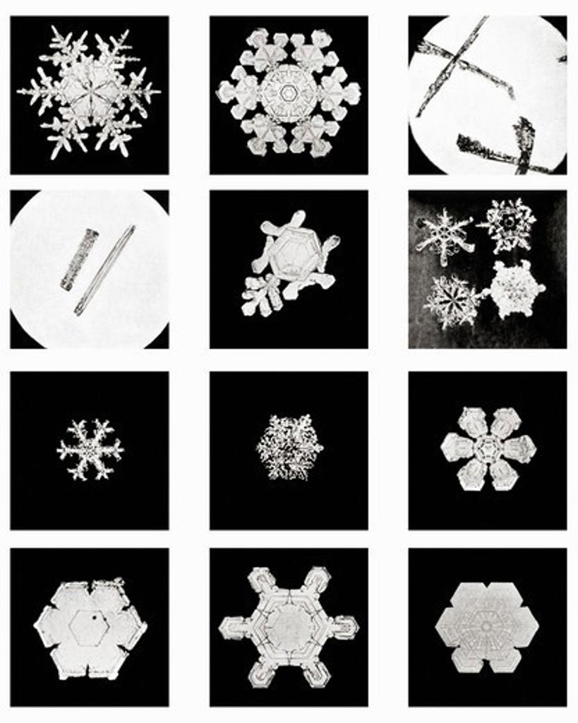 Plate IV of Studies Among Snow Crystals