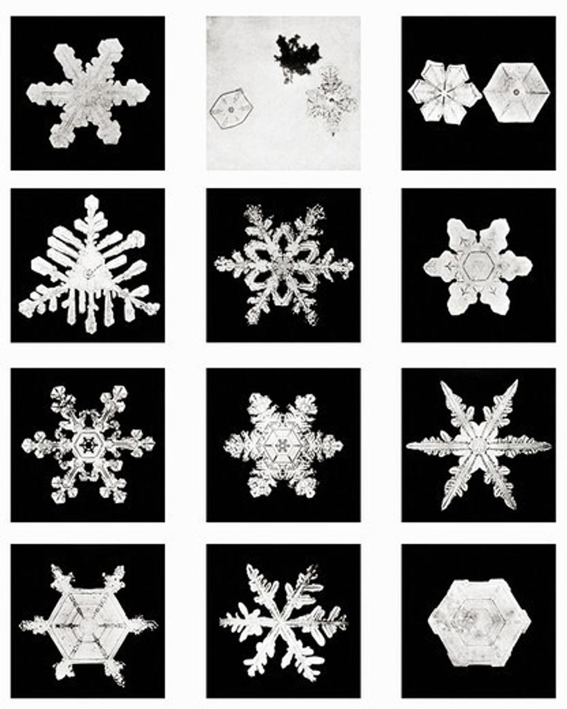 Plate VI of Studies Among Snow Crystals