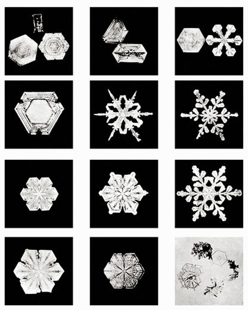 Plate VIII of Studies Among Snow Crystals