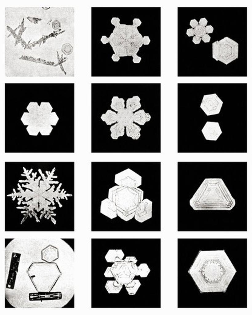 Plate IX of Studies Among Snow Crystals