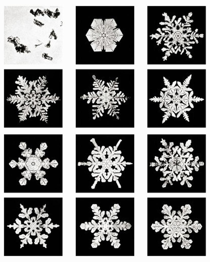Plate X of Studies Among Snow Crystals