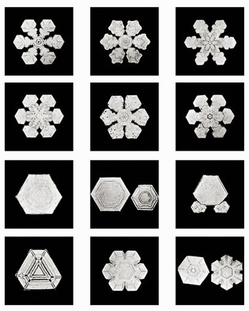 Plate XI of Studies Among Snow Crystals