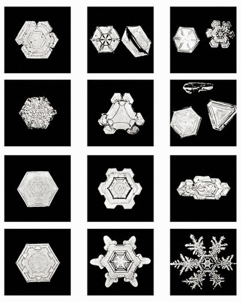 Plate XII of Studies Among Snow Crystals