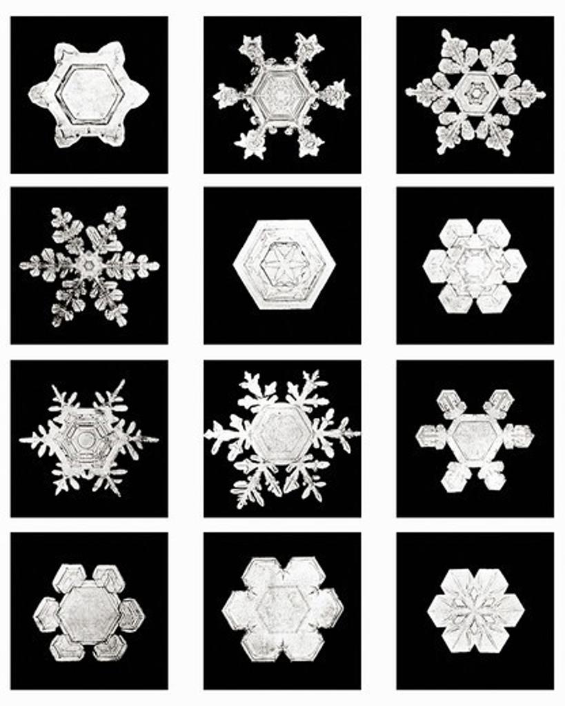 Plate XIII of Studies Among Snow Crystals