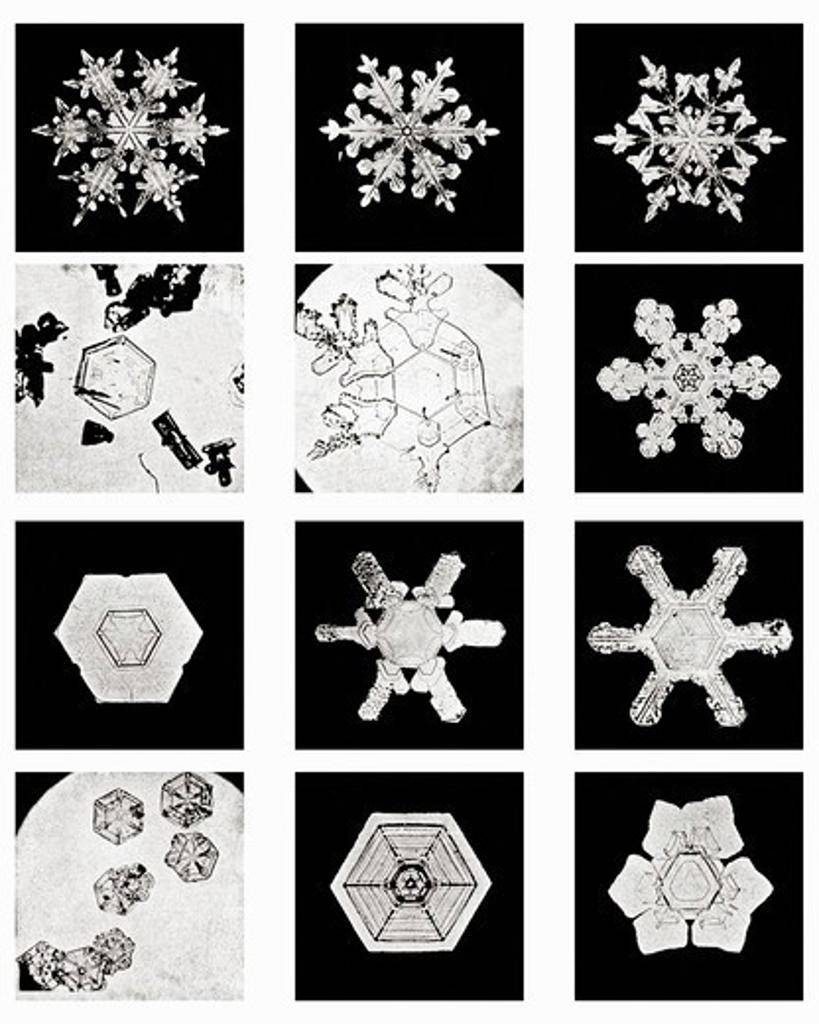 Plate XV of Studies Among Snow Crystals