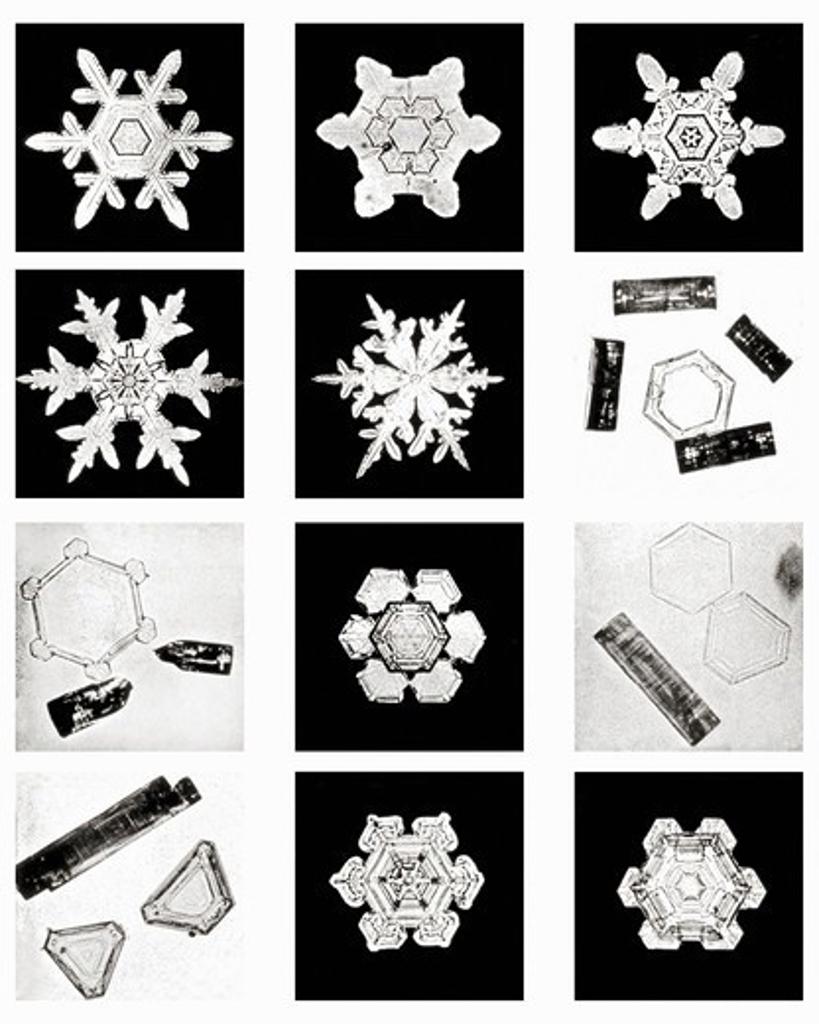 Plate XVI of Studies Among Snow Crystals