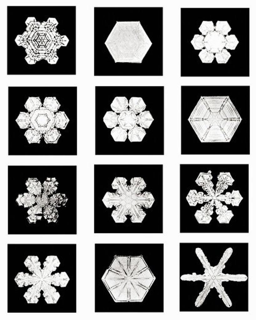 Plate XVII of Studies Among Snow Crystals
