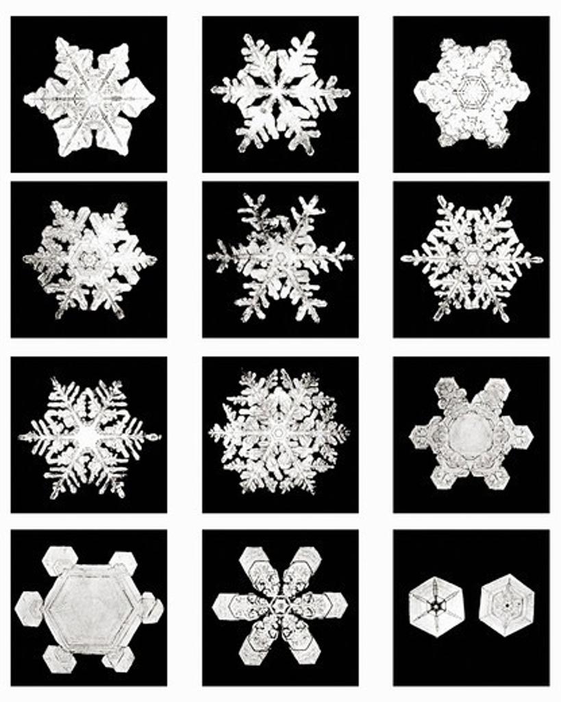 Plate XVIII of Studies Among Snow Crystals