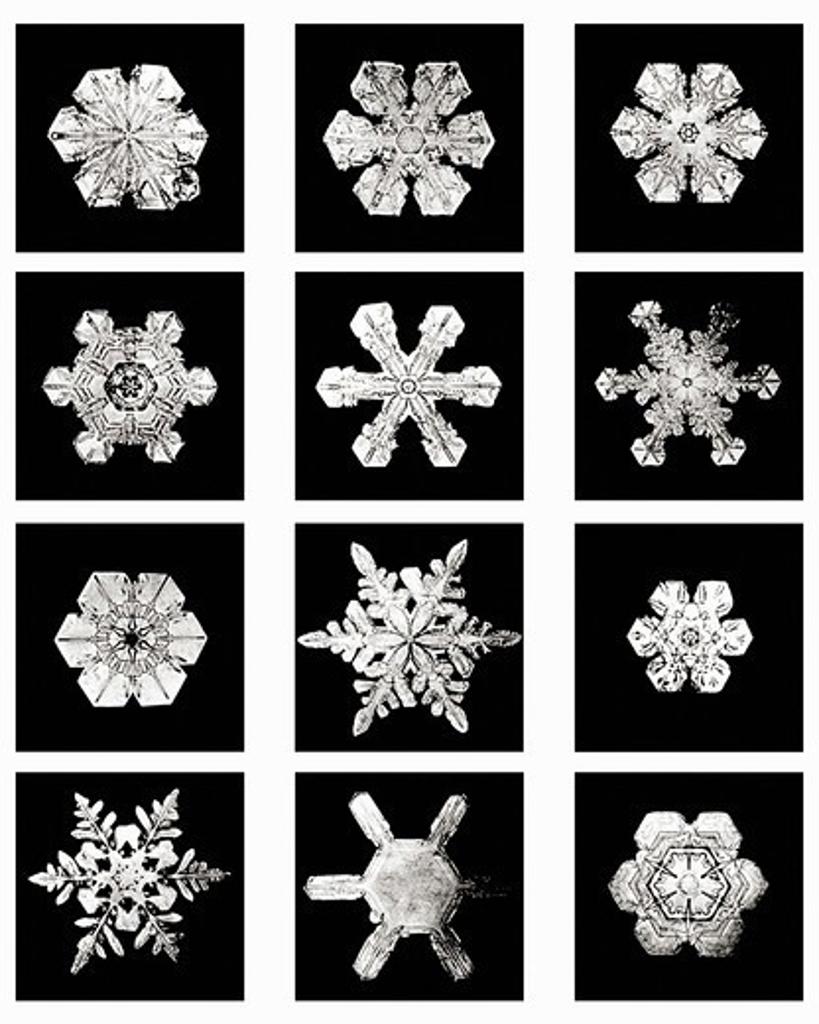 Plate XXI of Studies Among Snow Crystals