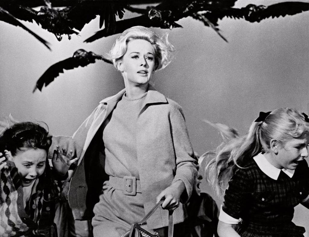 TIPPI HEDREN in THE BIRDS (1963), directed by ALFRED HITCHCOCK.