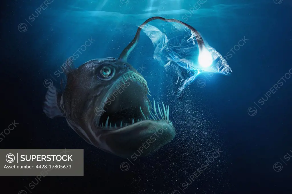 Large deep sea fish with light bulb trapped in plastic bag