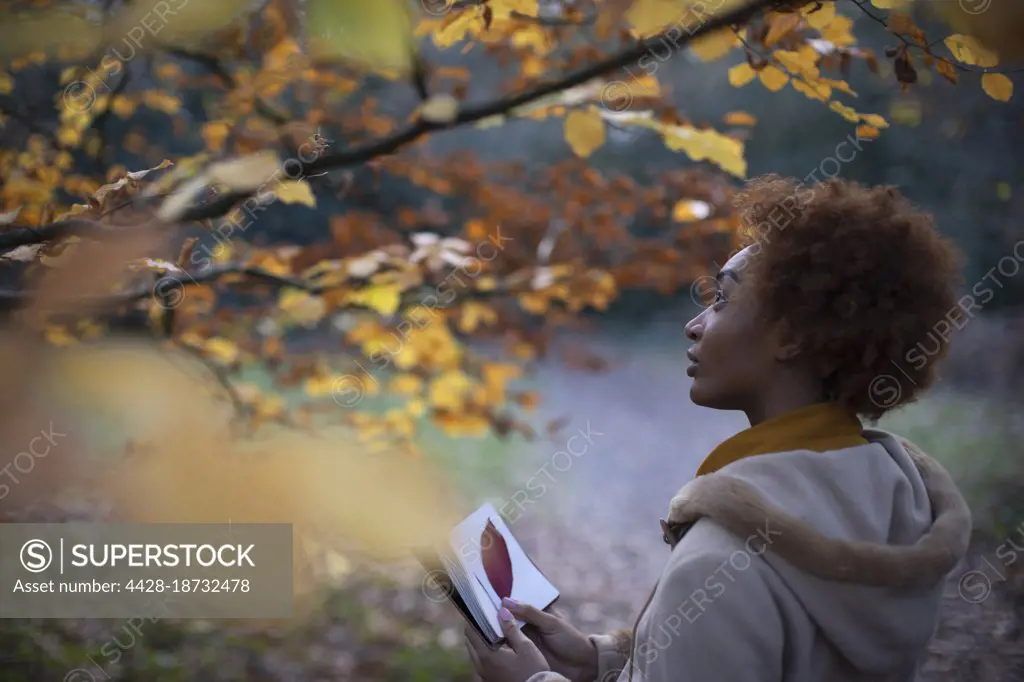 Young woman with journal looking up at autumn leaves in park