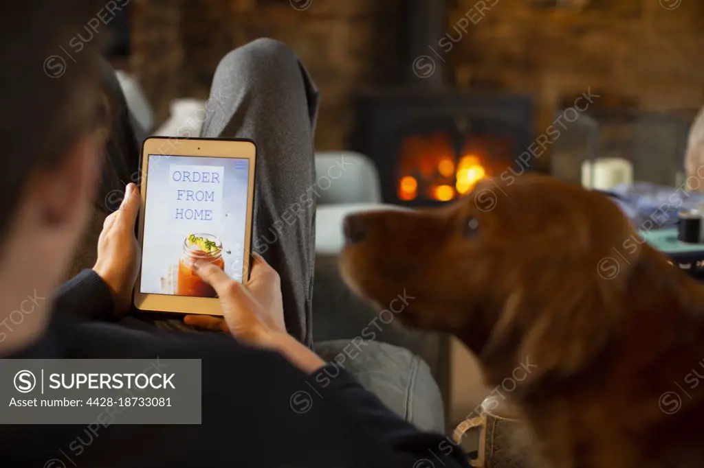 Dog watching man order takeout on digital tablet screen