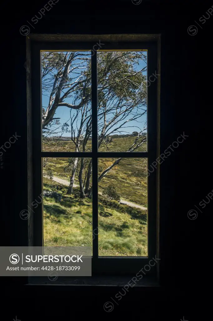 Scenic view of sunny trees from silhouetted window