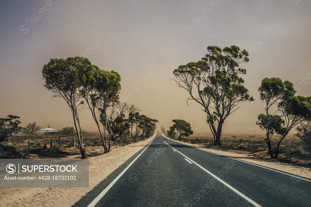 Sunny remote tree lined road in Australian bush