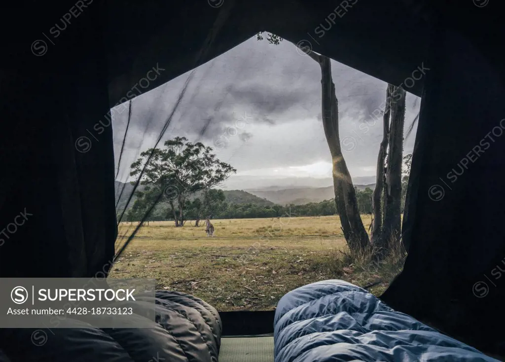 Sleeping bags inside tent with scenic view of Australian bush