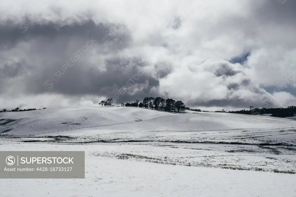 Scenic view snow covered landscape, Australia