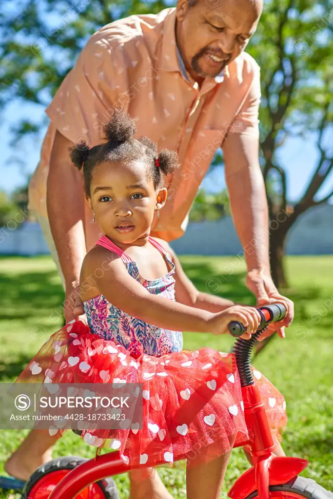 Portrait grandfather pushing cute granddaughter on tricycle in park