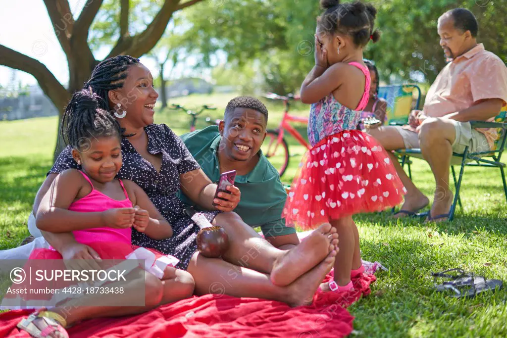 Family relaxing in summer park